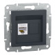Розетка комп’ютерна RJ45 UTP Cat 5e без рамки Schneider Electric Asfora, антрацит