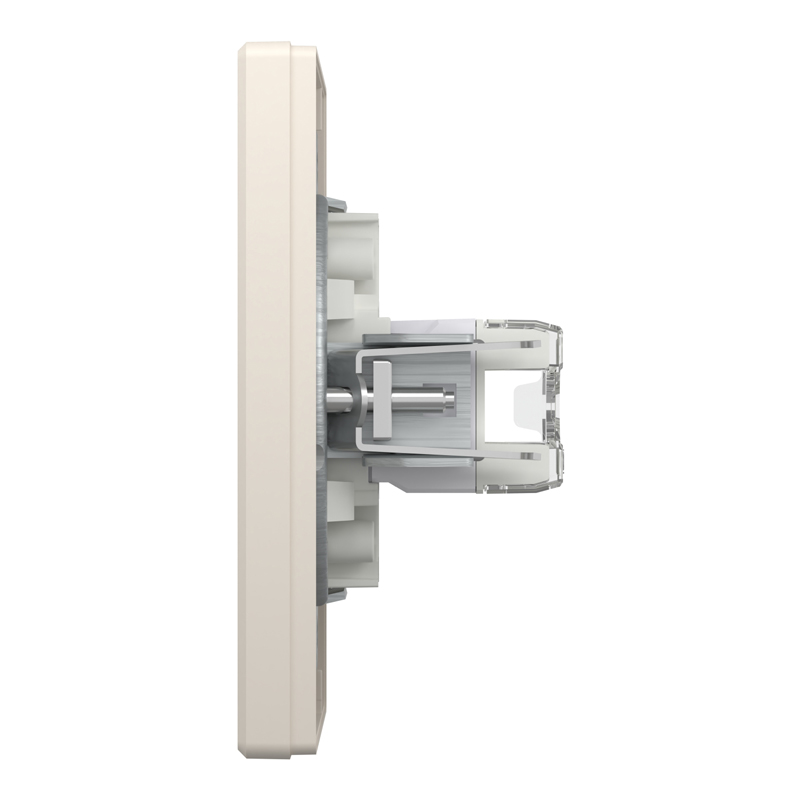 Розетка комп’ютерна подвійна 2×RJ45 UTP Cat 5e з рамкою Schneider Electric Asfora, кремова