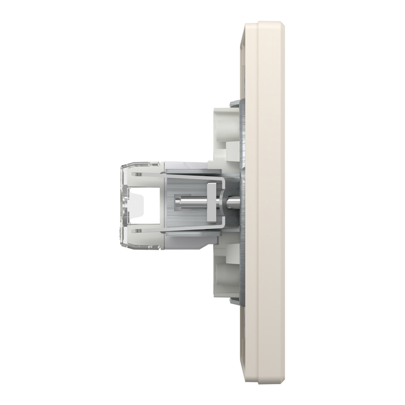 Розетка комп’ютерна подвійна 2×RJ45 UTP Cat 5e з рамкою Schneider Electric Asfora, кремова