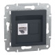 Розетка комп’ютерна RJ45 UTP Cat 6 без рамки Schneider Electric Asfora, антрацит