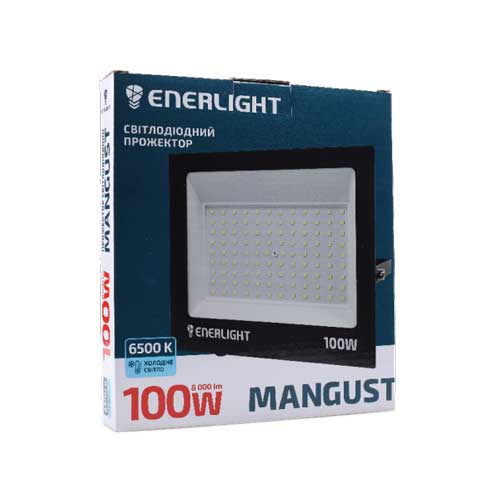 Прожектор LED Enerlight Mangust 100Вт 6500K